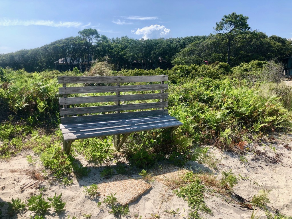 2.1 bench_hilton_head