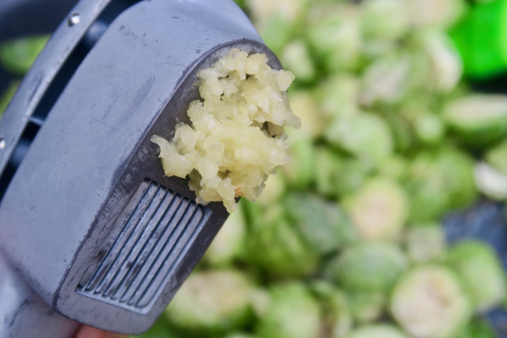 12. close_up_minced_garlic