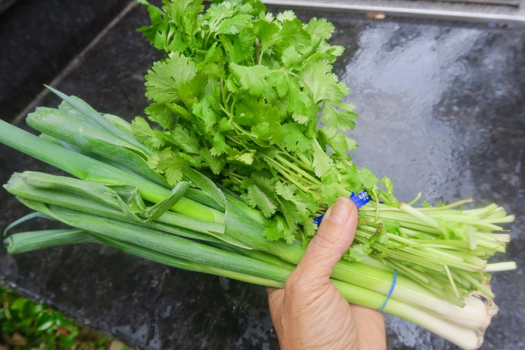 12. fresh_scallions_cilantro